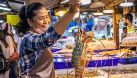 Start your journey with Pattaya’s vibrant glow
